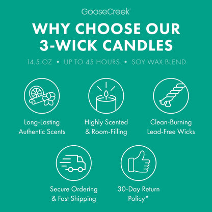 Angry Beavers Nickelodeon 3-Wick Candle