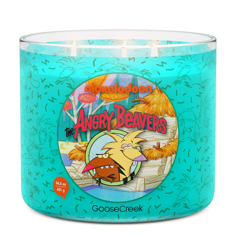 Angry Beavers Nickelodeon 3-Wick Candle C7